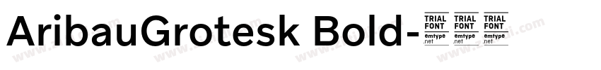 AribauGrotesk Bold字体转换